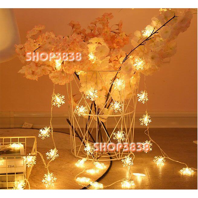 Lựa Nguồn( Pin- USB- Điện)Dây Đèn Led Bông Tuyết Dài 6M - 40 Bóng | BigBuy360 - bigbuy360.vn