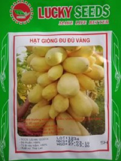 Hạt giống Đu đủ da vàng