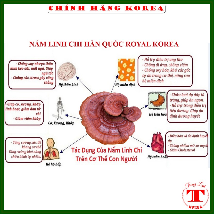 Nấm linh chi Kana hàn quốc chính hãng, túi 1kg - Giúp thải độc gan, thanh lọc cơ thể - tranglinhkorea