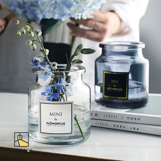 BANFANG Lọ hoa mini bằng thủy tinh trang trí nhà cửa