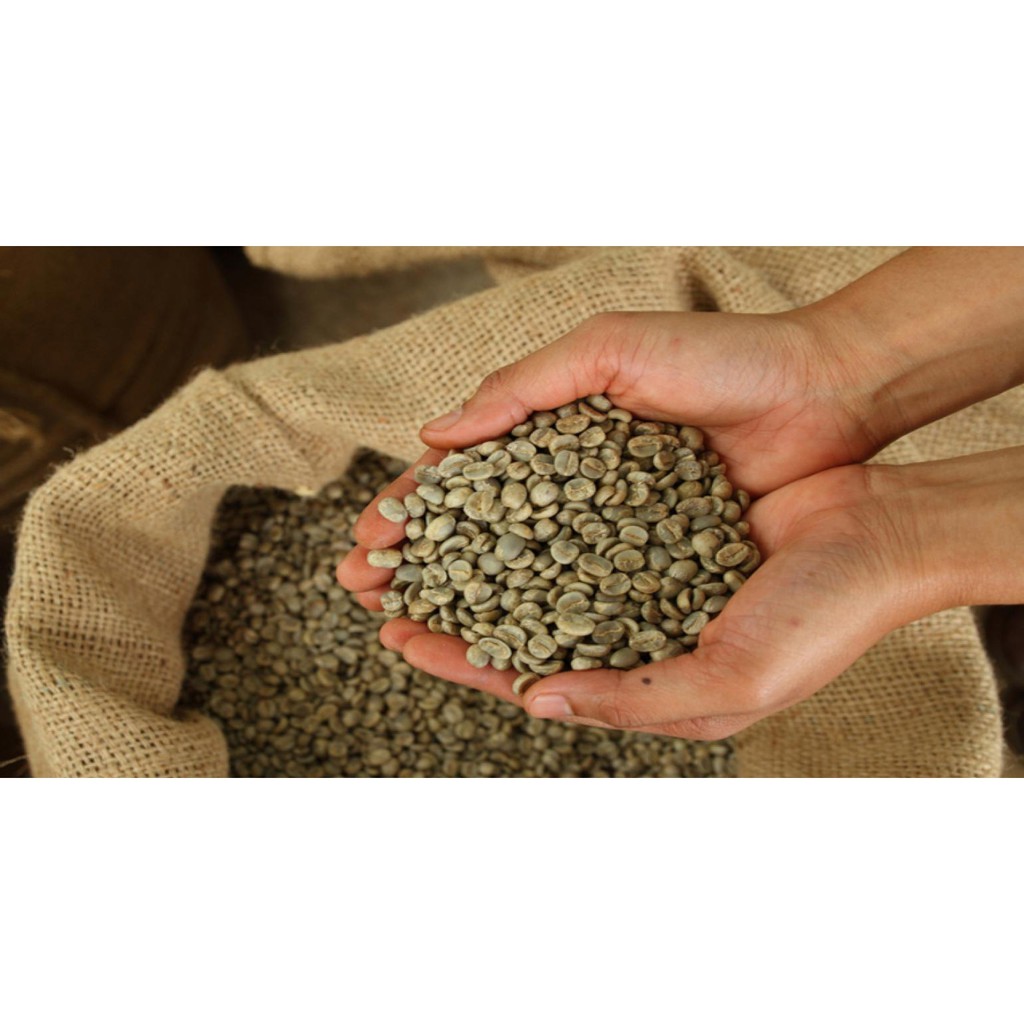 [ Rẻ vô đối ]1kg cà phê nguyên chất ( 2 bịch 500g) - Thucoffee