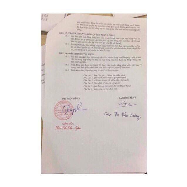 Son Roses Chính Hãng FULL 9 Màu