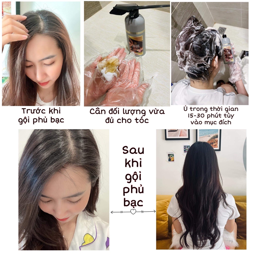 DẦU GỘI PHỦ BẠC NHỤY HOA NGHỆ TÂY  - Mua 10 chai được tặng 1 chai