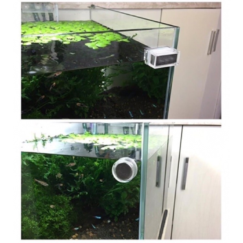 Nam Châm Chùi Kính Chihiros NANO - MINI Magnet Cleaner