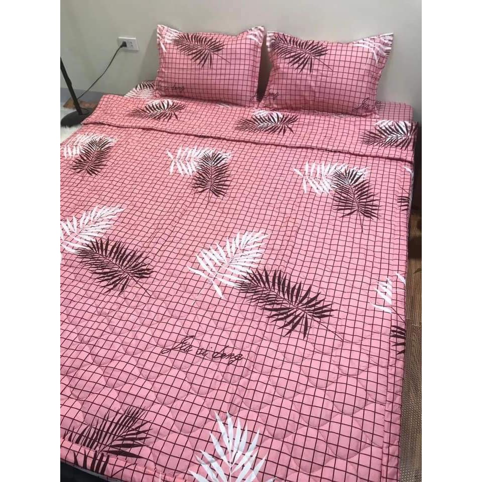 Ga trải giường 1mx1m9,cotton poly hàn mềm,chọn mẫu,lá hồng