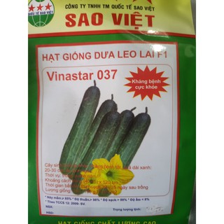 Hạt giống dưa leo lai F1