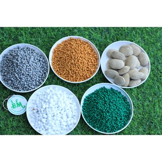 Phân tan chậm túi 100gr