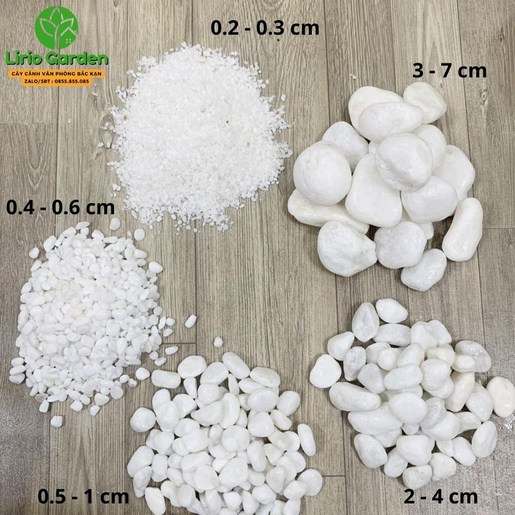 1kg sỏi trắng , đá trắng trang trí tiểu cảnh , cây cảnh , hồ cá