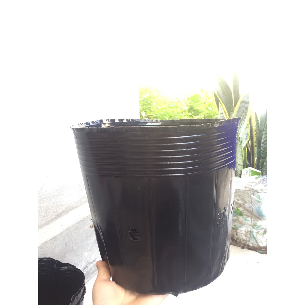 1kg(29-30 cái) bầu ươm cây màu đen giá chỉ 56k