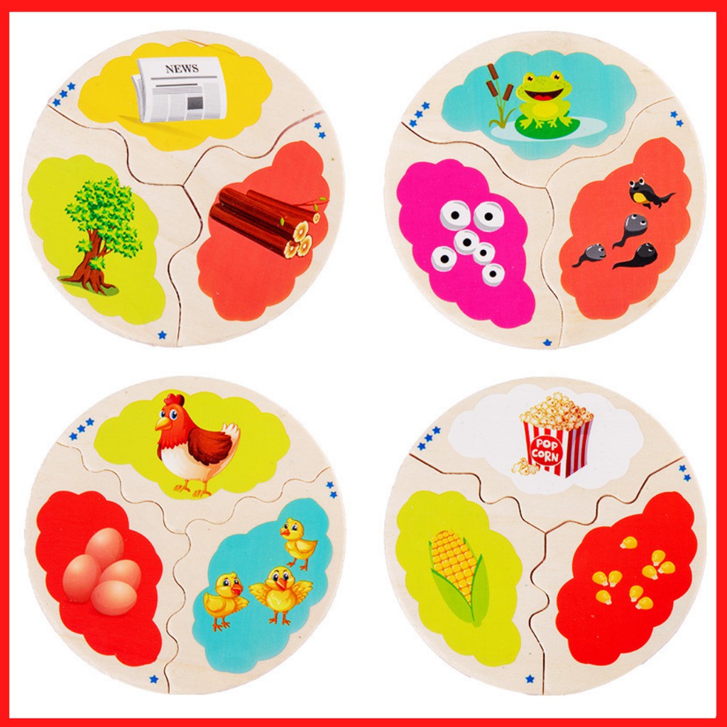 Ghép Vòng Đời Sinh Vật