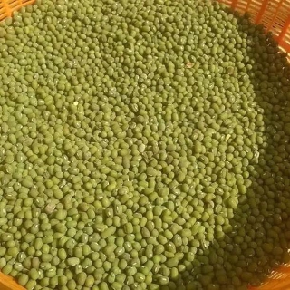 Đậu xanh nguyên hạt- hữu cơ (1kg)