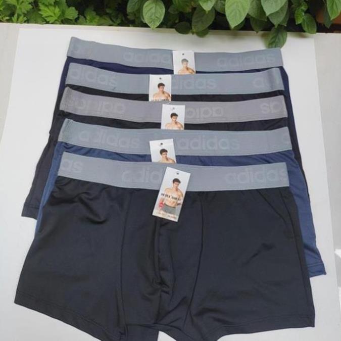 Combo 5 Quần Xịp Đùi Nam Sịp Đùi Cao Cấp Chất Coton Thoáng Mát, Thoải Mái Vận Động, Nam Tính