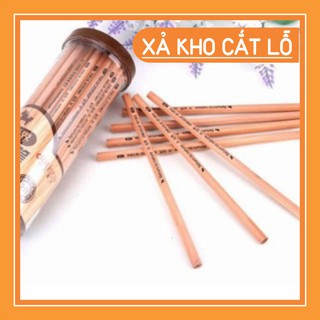 Bút chì gỗ 1k baohoang938
