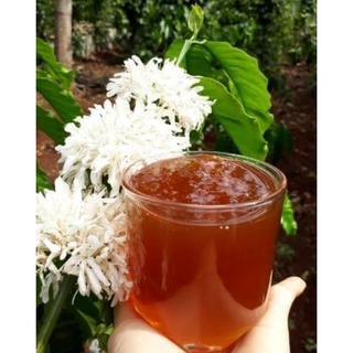 Mật ong hoa cafe nguyên chất