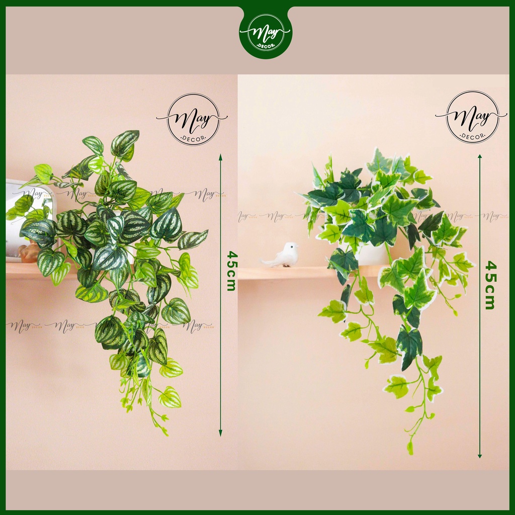 Cây giả thường xuân, hạnh tiên thảo để bàn trang trí kèm chậu 20cm, 25cm