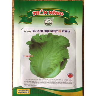 Hạt Giống Rau Xà Lách Chịu Nhiệt F1 Italia 5g Cao Cấp Chất Lượng