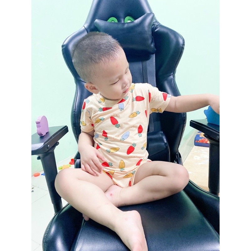 Bộ chip cộc tay minky mom