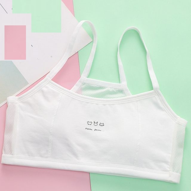 Áo lót nữ học sinh, áo ngực cho bé gái chất liệu cotton đẹp size 28-50kg