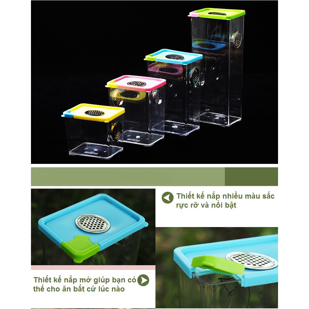 Tank nuôi nhện bọ cạp rết vật nuôi nhỏ