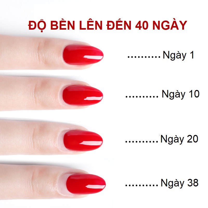 Top coat gel AS red - nước bóng