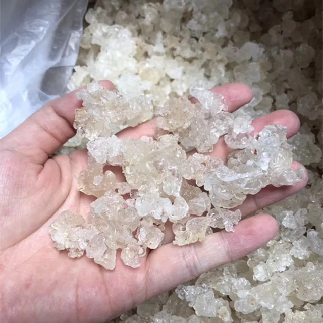 Tuyết yến Quý Châu ( nấu chè dưỡng nhan)
