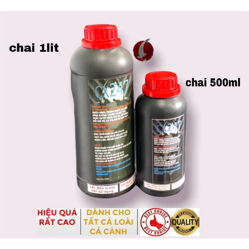 Cx247 diệt ký sinh đơn bào, các loại nấm cho cá Koi, cá Vàng, cá Rồng và các loại cá cảnh