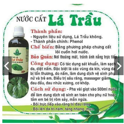 Nước Cất Lá Trầu Không Huyền Thoại (Hàng chuẩn 100%)