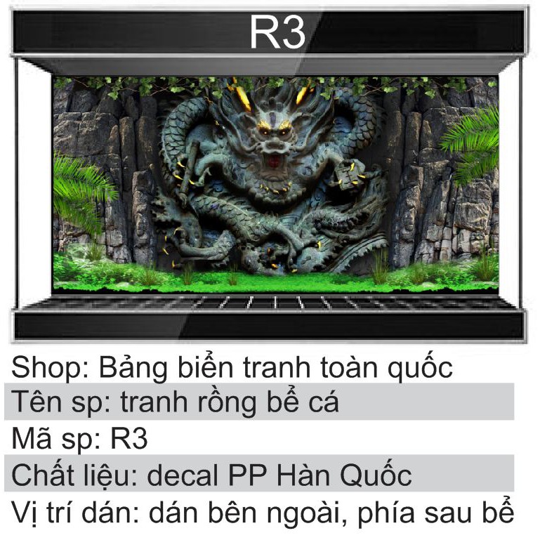 Tranh 3D dán bể cá mẫu rồng R3