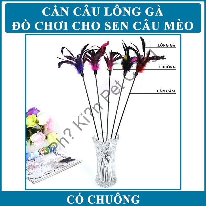 Cần Câu Mèo Có Chuông - DC2103