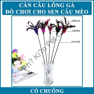 Cần Câu Mèo Có Chuông - DC2103