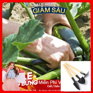 Hạt Giống Bí Ngòi Xanh F1 - 10 hạt / Gói - Tặng Kèm Bộ Dụng Cụ Trồng Cây Mini