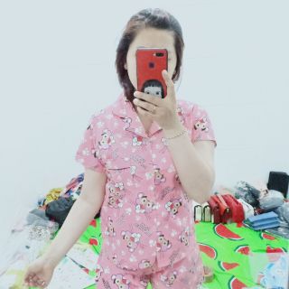 Sỉ pizama đùi