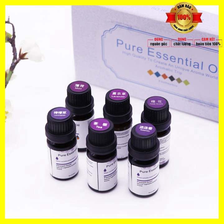 Sản phẩm  Tinh dầu thơm 100% tinh chất thiên nhiên 10ml