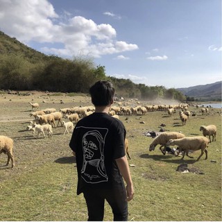 ÁO PHÔNG COLKIDS AP102
