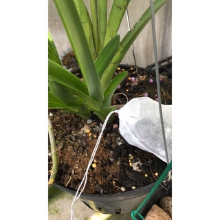 Phân bón cho lan kiếm gói 05 túi