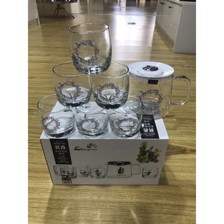 bình cốc thủy tinh chịu nhiệt hàng đẹp