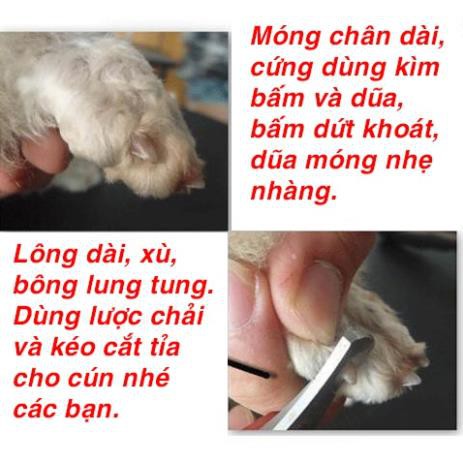 Bộ Kéo Cắt Tỉa Lông Chó Mèo, Kìm Cắt Móng Chân Siêu Sắc Bén, Lược Chải Bằng Thép Tốt