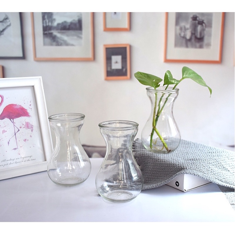 Lọ thuỷ tinh trồng cây thuỷ sinh xinh xắn nhiều màu