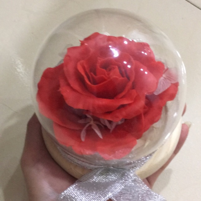 Hoa hồng đỏ
