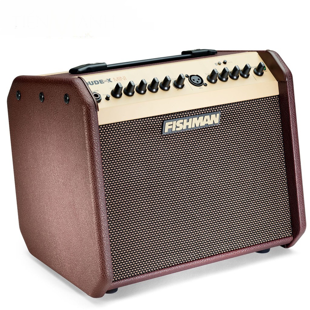 Fishman Loudbox Mini 60W Bluetooth Acoustic Instrument Amplifier - Ampli cho Đàn Guitar & Nhạc cụ mộc Acoustic