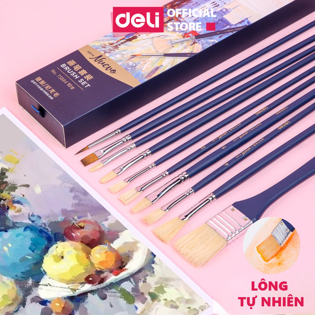 Bộ cọ vẽ chuyên nghiệp Deli - cọ lông động vật -cán màu xanh -10 dụng cụ - 73884