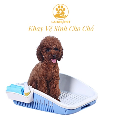KHAY VỆ SINH CHO CHÓ CAO CẤP - LAI NHỰ PET
