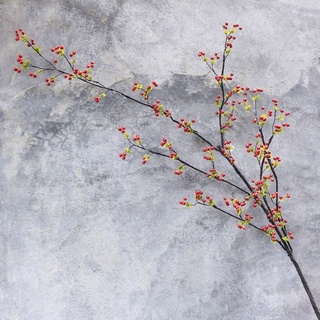 Cành Chery cổ trang trí