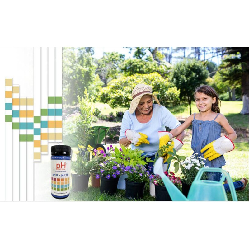 Set 100 Que Thử PH Trong Vườn