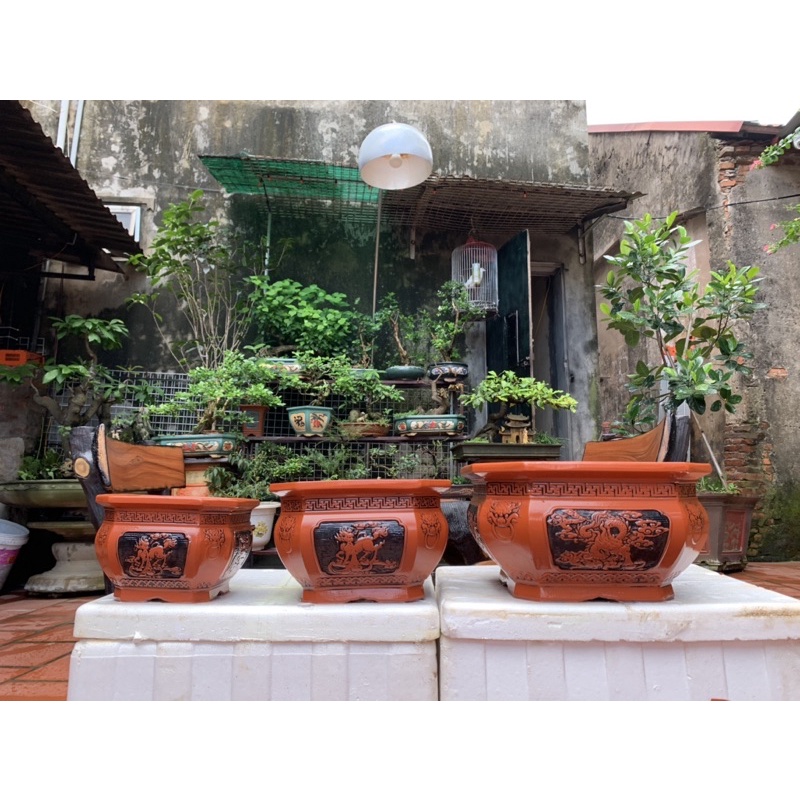Chậu trồng cây bon sai : vuông tứ linh - bộ 3 cái - có bán lẻ