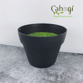 Chậu Nhựa Đen Nhồi Xốp Phủ Cỏ Xanh ( Trồng Cây Giả )