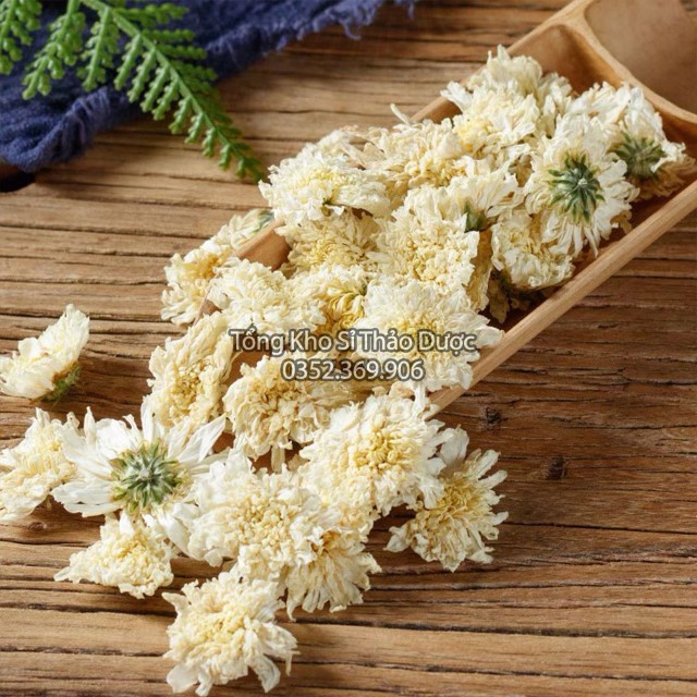 Hoa Cúc Trắng 1kg (Cúc Thơm, Đẹp)