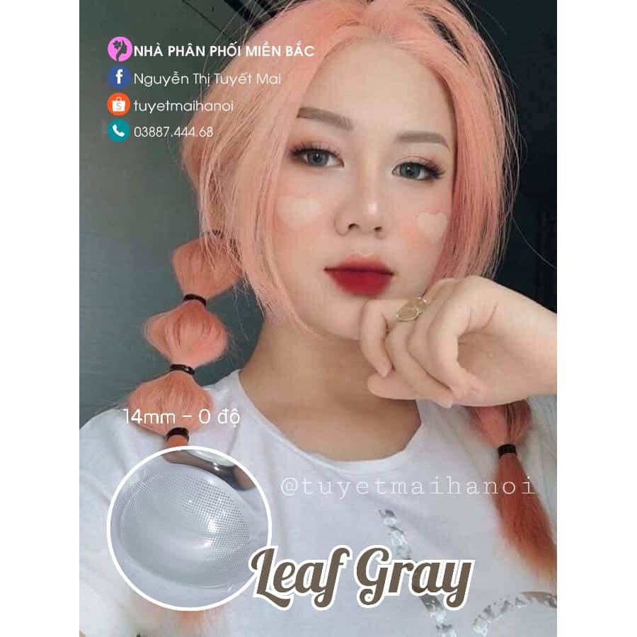 [Bán giá gốc] Leaf Gray 14mm 0 Độ - Lens Xám Xanh - Kính Áp Tròng Nhập Khẩu Hàn Quốc