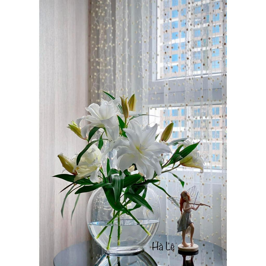 BÌNH HOA OVAL CAO CẤP