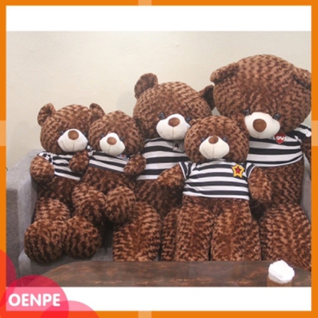 Gấu bông teddy khổ 1m4 cao 1m2 hàng VNXK cao cấp